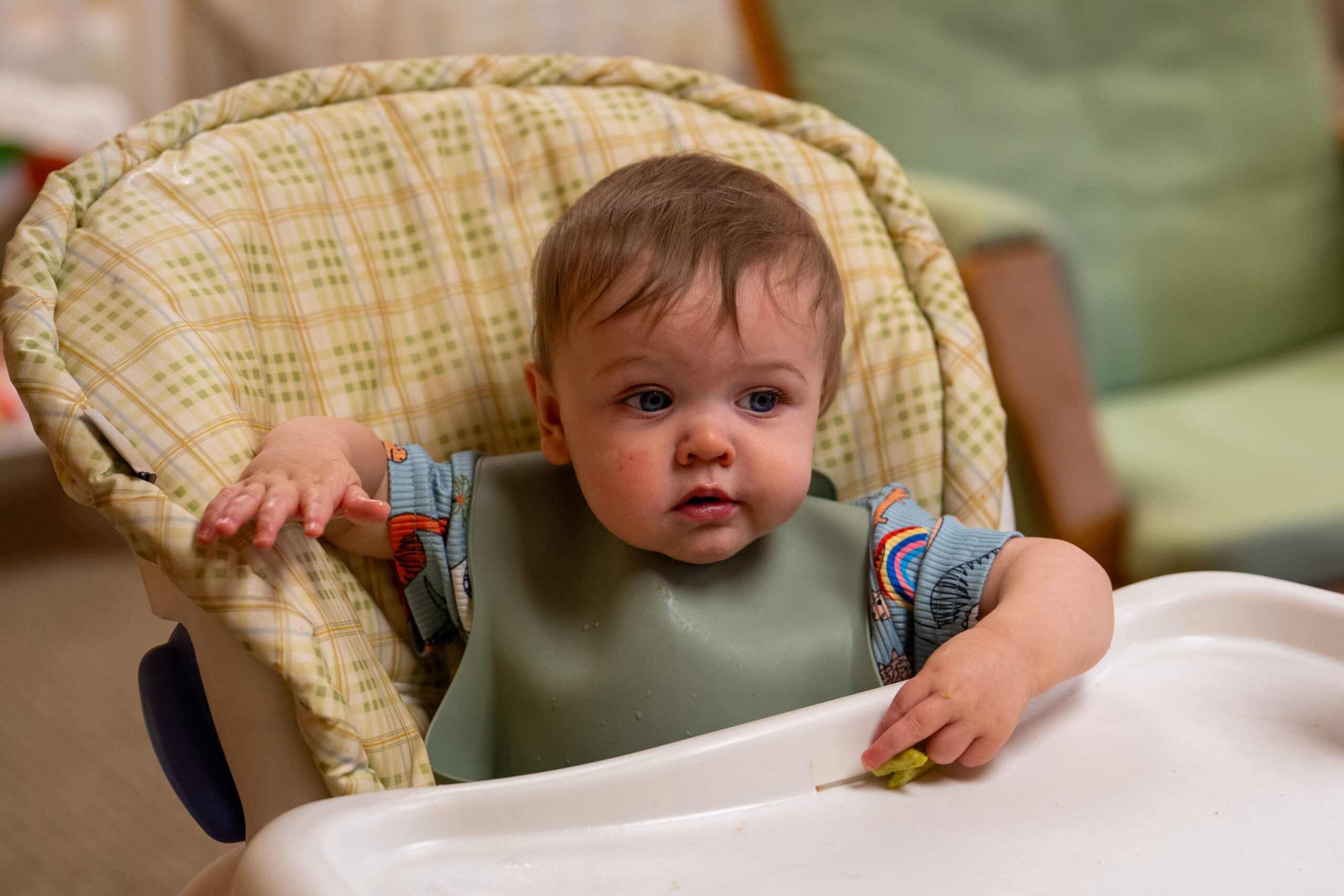 Little boy sits in a high chair eating a snack